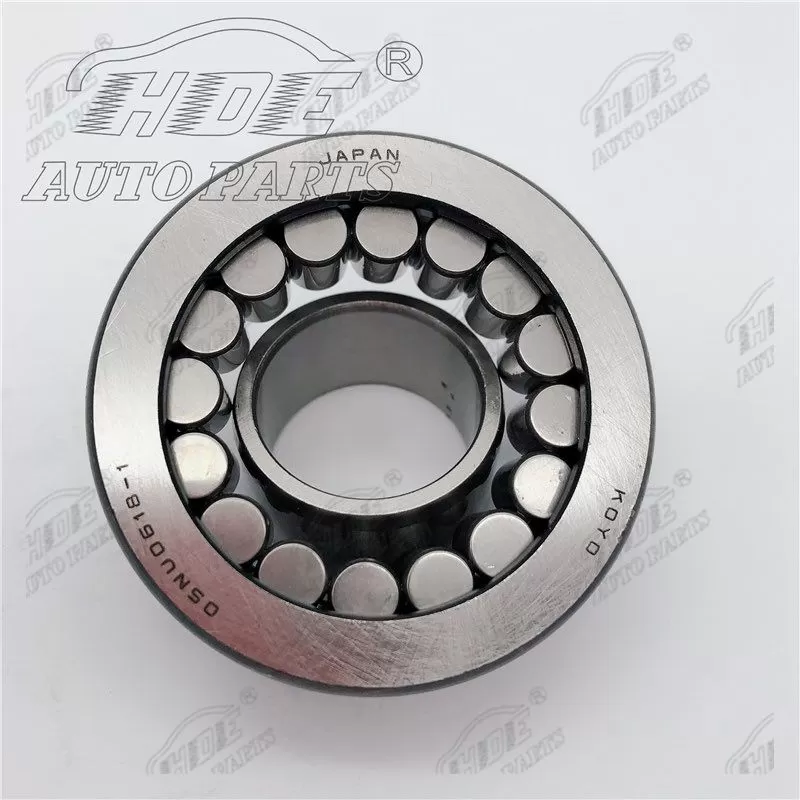 05NU0618 Cylindrical Roller Bearing