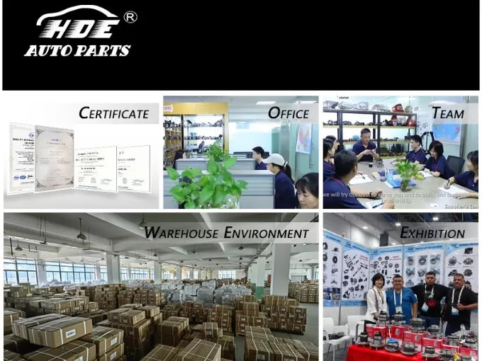 Are you a factory or trading company